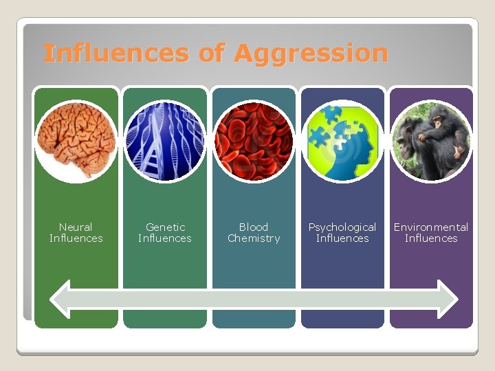 Influences of Aggression Neural Influences Genetic Influences Blood Chemistry Psychological Influences Environmental Influences 