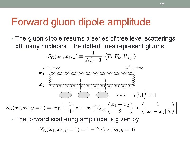 15 Forward gluon dipole amplitude • The gluon dipole resums a series of tree
