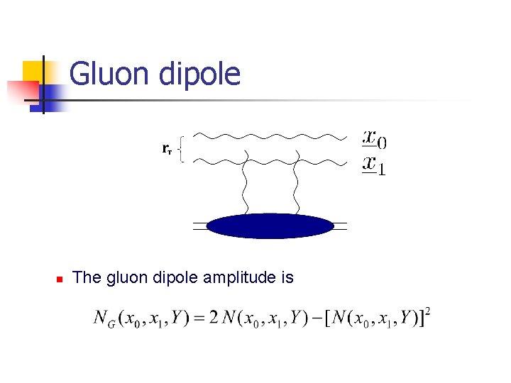 Gluon dipole n The gluon dipole amplitude is 