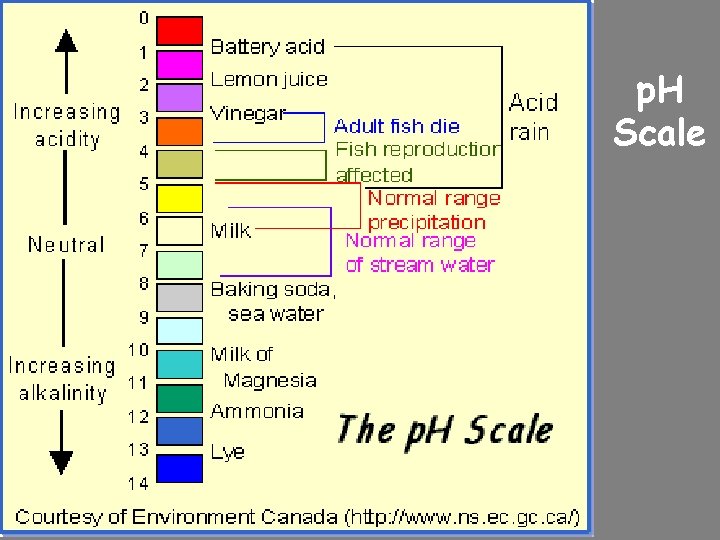 p. H Scale 