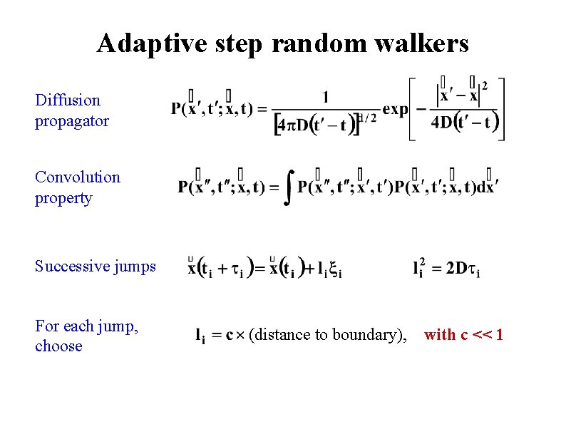 Adaptive step random walkers Diffusion propagator Convolution property Successive jumps For each jump, choose