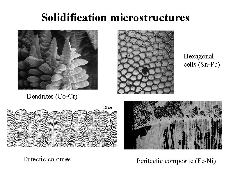 Solidification microstructures Hexagonal cells (Sn-Pb) Dendrites (Co-Cr) Eutectic colonies Peritectic composite (Fe-Ni) 