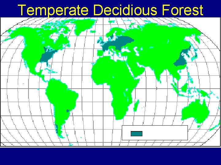 Temperate Decidious Forest 