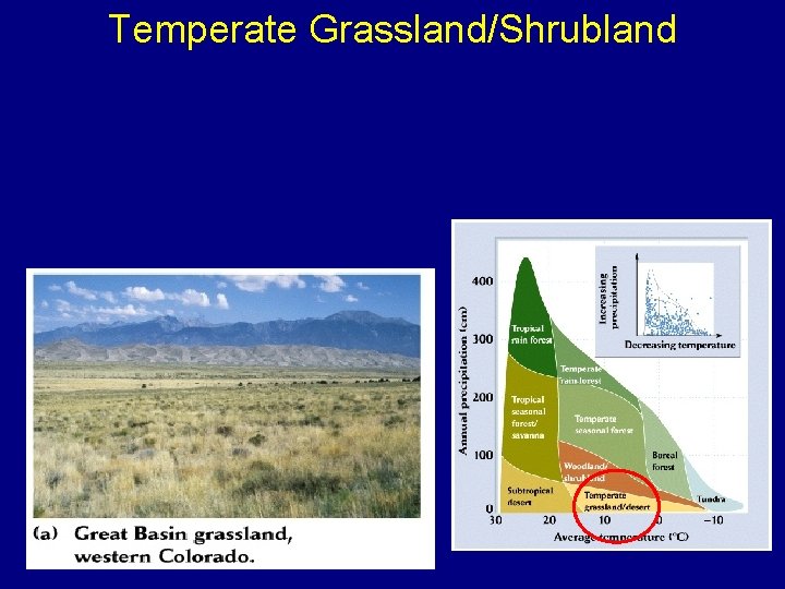 Temperate Grassland/Shrubland 