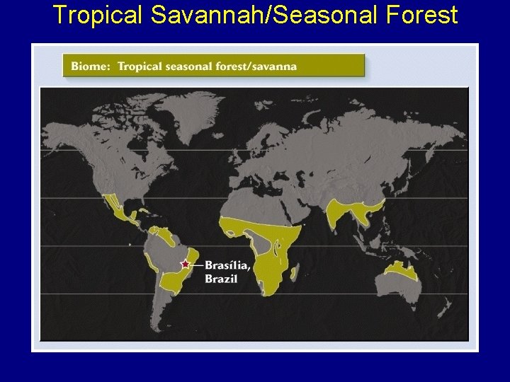 Tropical Savannah/Seasonal Forest 