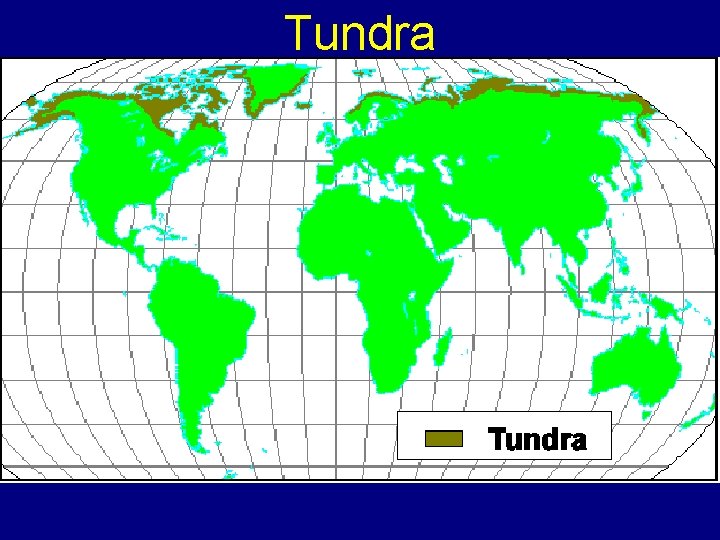 Tundra 