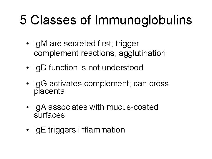5 Classes of Immunoglobulins • Ig. M are secreted first; trigger complement reactions, agglutination