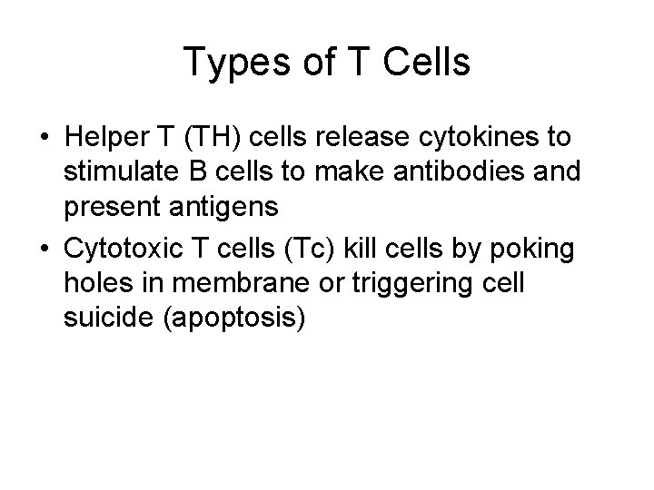 Types of T Cells • Helper T (TH) cells release cytokines to stimulate B