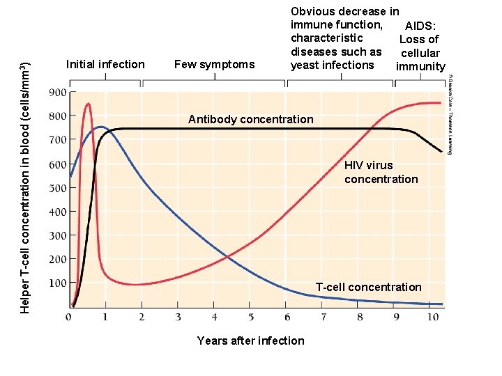 Helper T-cell concentration in blood (cells/mm 3) Initial infection Few symptoms Obvious decrease in