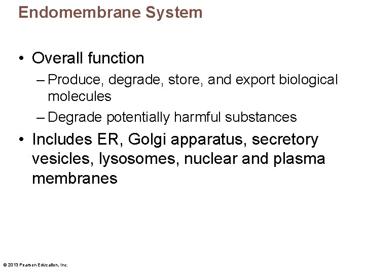 Endomembrane System • Overall function – Produce, degrade, store, and export biological molecules –