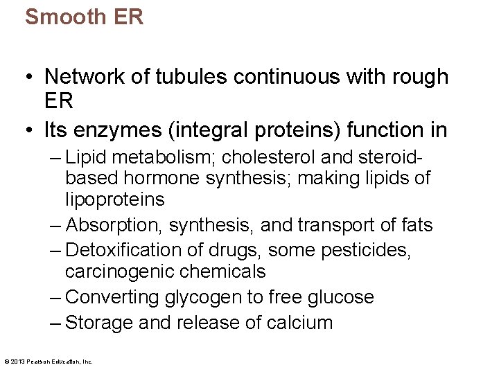 Smooth ER • Network of tubules continuous with rough ER • Its enzymes (integral