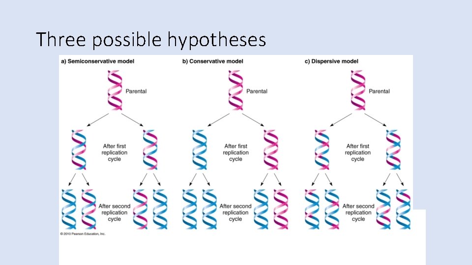 Three possible hypotheses 