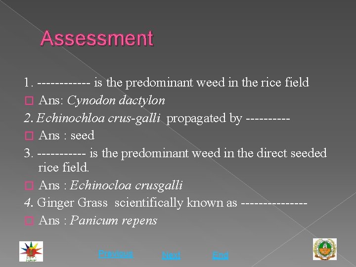 Assessment 1. ------ is the predominant weed in the rice field � Ans: Cynodon