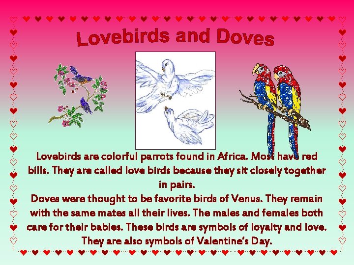 Lovebirds are colorful parrots found in Africa. Most have red bills. They are called