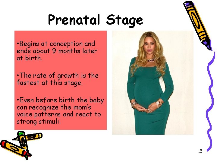 Prenatal Stage • Begins at conception and ends about 9 months later at birth.