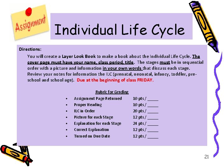 Individual Life Cycle Directions: You will create a Layer Look Book to make a