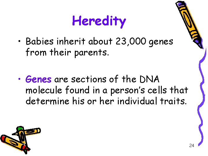 Heredity • Babies inherit about 23, 000 genes from their parents. • Genes are