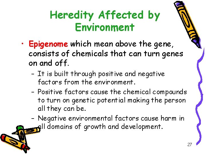 Heredity Affected by Environment • Epigenome which mean above the gene, consists of chemicals