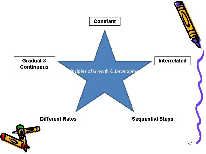 Constant Gradual & Continuous Interrelated Principles of Growth & Development Different Rates Sequential Steps