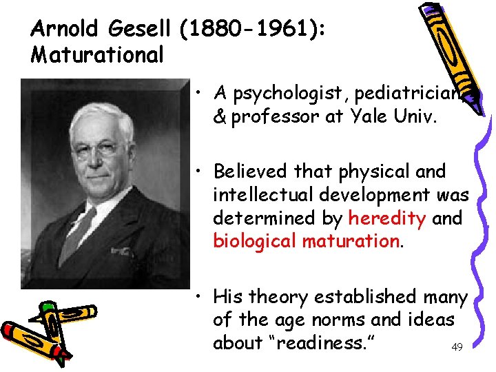 Arnold Gesell (1880 -1961): Maturational • A psychologist, pediatrician, & professor at Yale Univ.