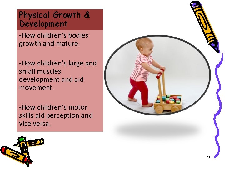 Physical Growth & Development -How children's bodies growth and mature. -How children’s large and