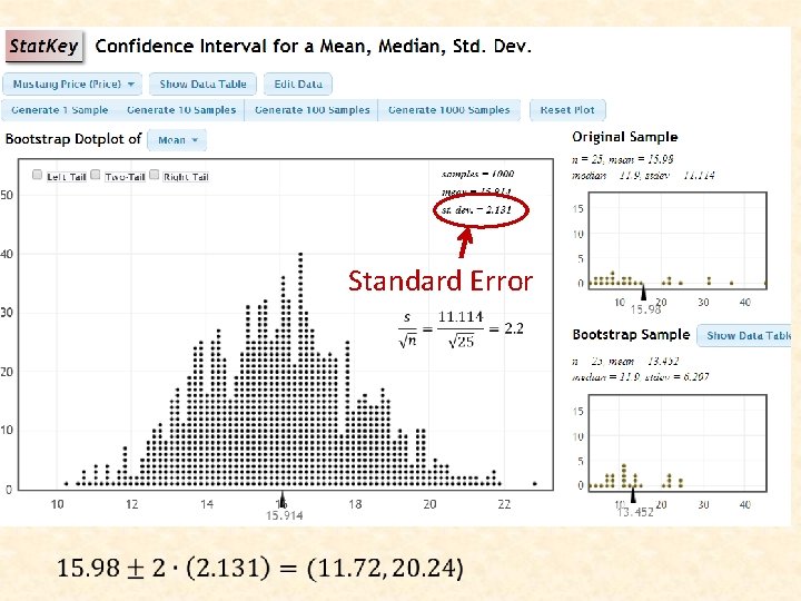 Stat. Key Standard Error 