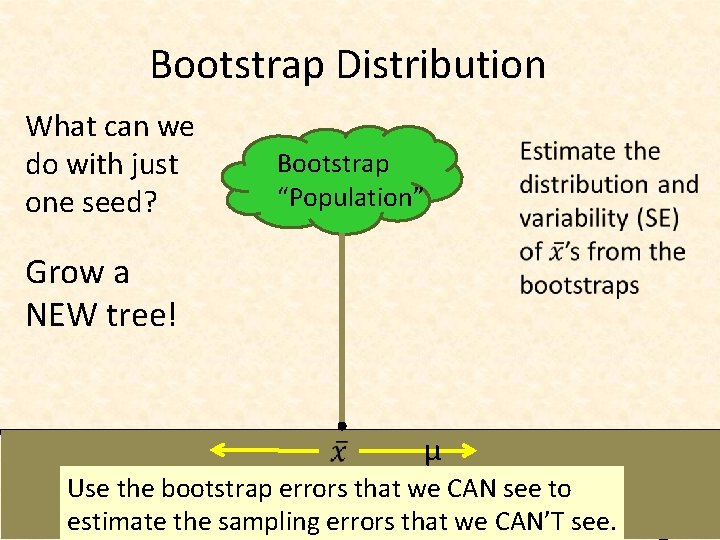 Bootstrap Distribution What can we do with just one seed? Bootstrap “Population” Grow a