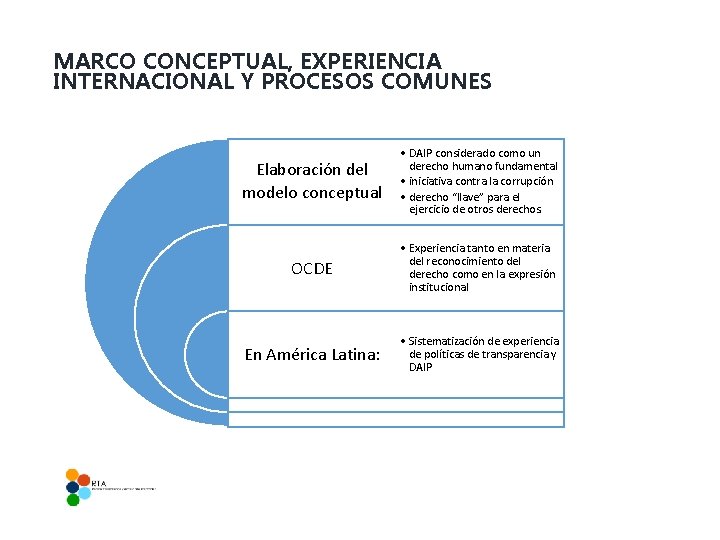 MARCO CONCEPTUAL, EXPERIENCIA INTERNACIONAL Y PROCESOS COMUNES Elaboración del modelo conceptual • DAIP considerado