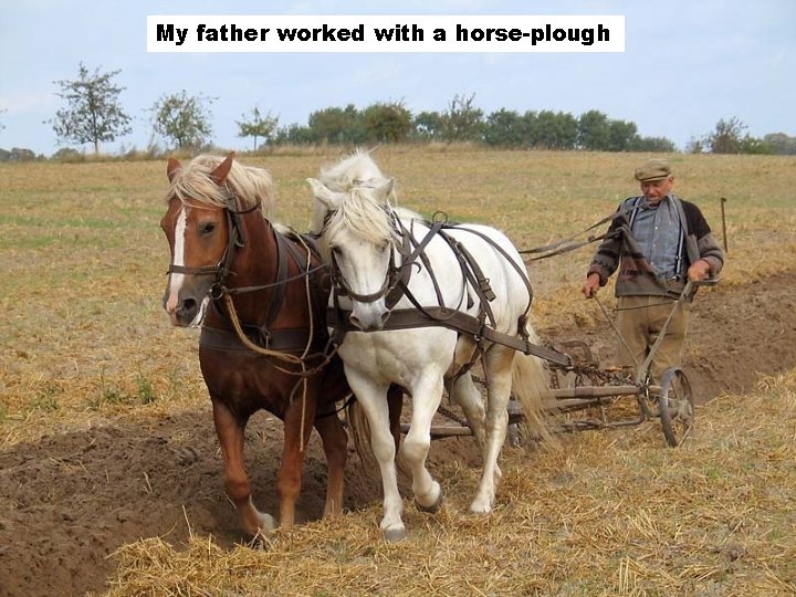 My father worked with a horse-plough 