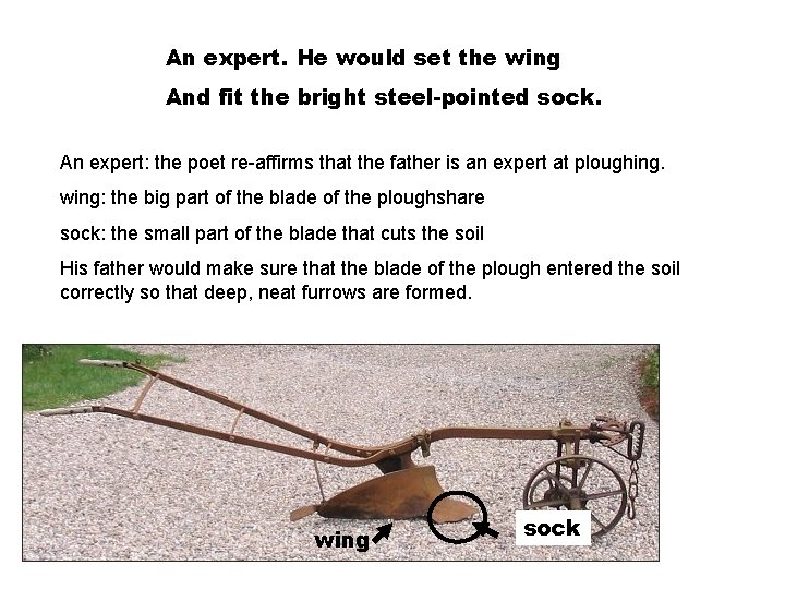 An expert. He would set the wing And fit the bright steel-pointed sock. An