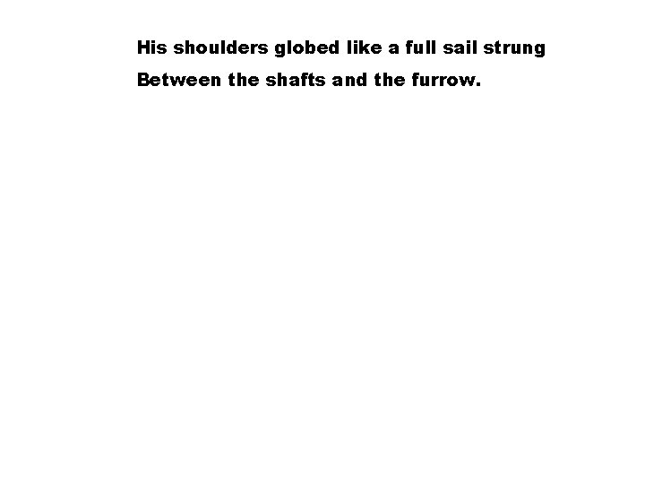 His shoulders globed like a full sail strung Between the shafts and the furrow.