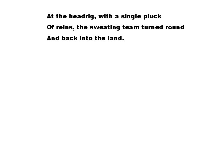 At the headrig, with a single pluck Of reins, the sweating team turned round