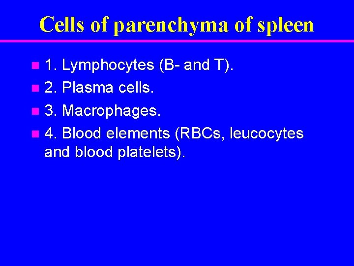 Cells of parenchyma of spleen 1. Lymphocytes (B- and T). n 2. Plasma cells.