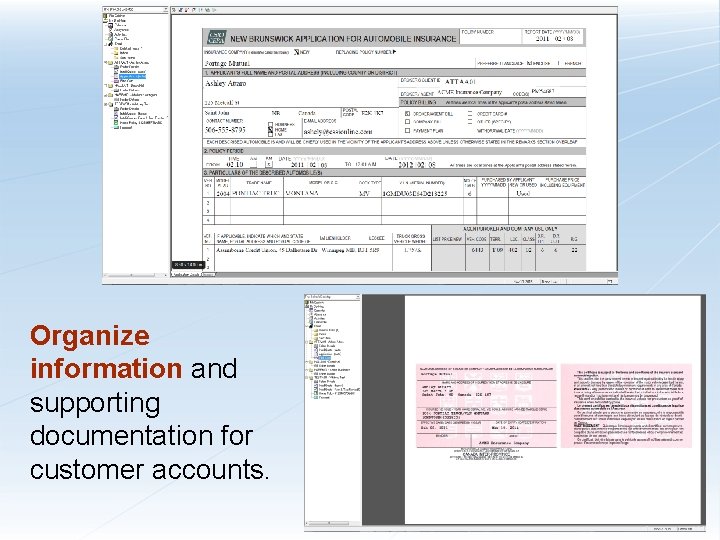 Organize information and supporting documentation for customer accounts. 