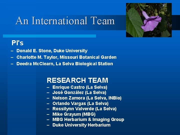 An International Team PI's – Donald E. Stone, Duke University – Charlotte M. Taylor,