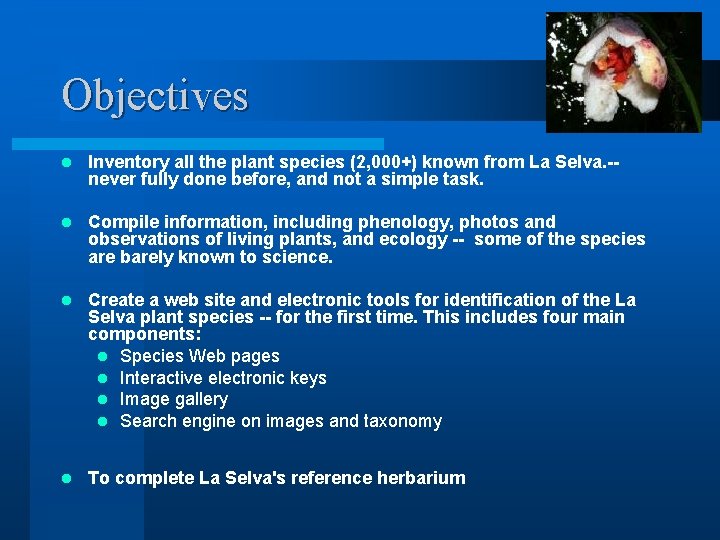 Objectives l Inventory all the plant species (2, 000+) known from La Selva. --