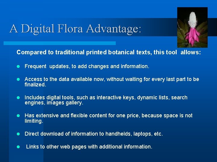 A Digital Flora Advantage: Compared to traditional printed botanical texts, this tool allows: l