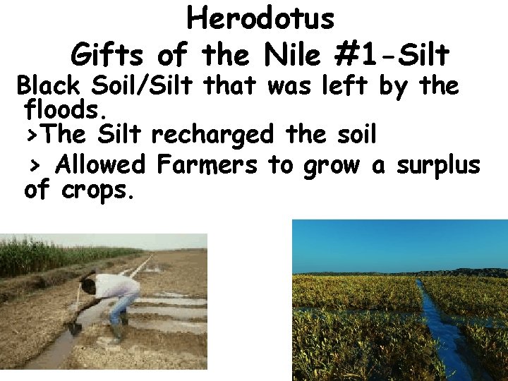 Herodotus Gifts of the Nile #1 -Silt Black Soil/Silt that was left by the