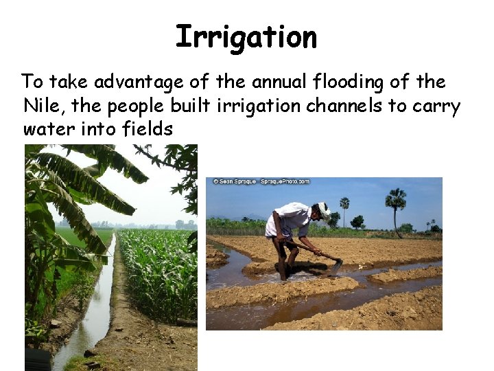 Irrigation To take advantage of the annual flooding of the Nile, the people built