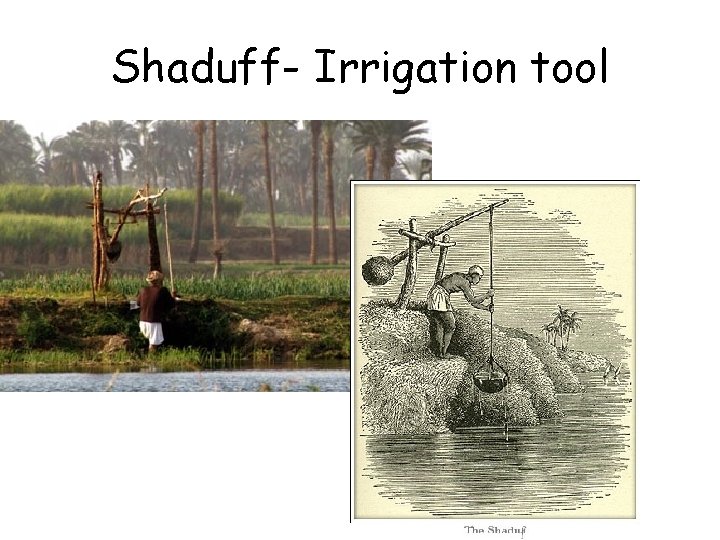 Shaduff- Irrigation tool 