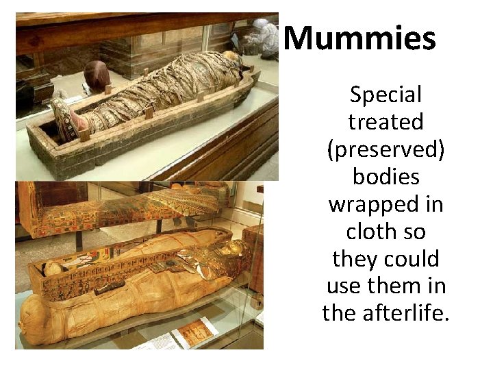 Mummies Special treated (preserved) bodies wrapped in cloth so they could use them in