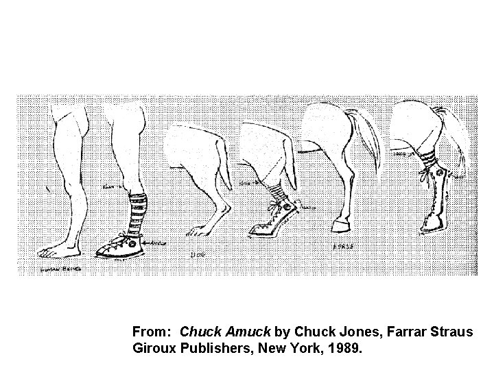 From: Chuck Amuck by Chuck Jones, Farrar Straus Giroux Publishers, New York, 1989. 