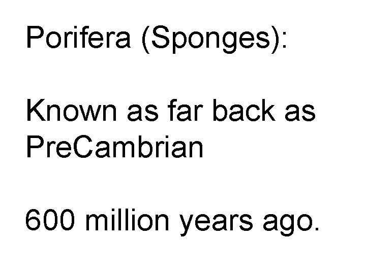 Porifera (Sponges): Known as far back as Pre. Cambrian 600 million years ago. 