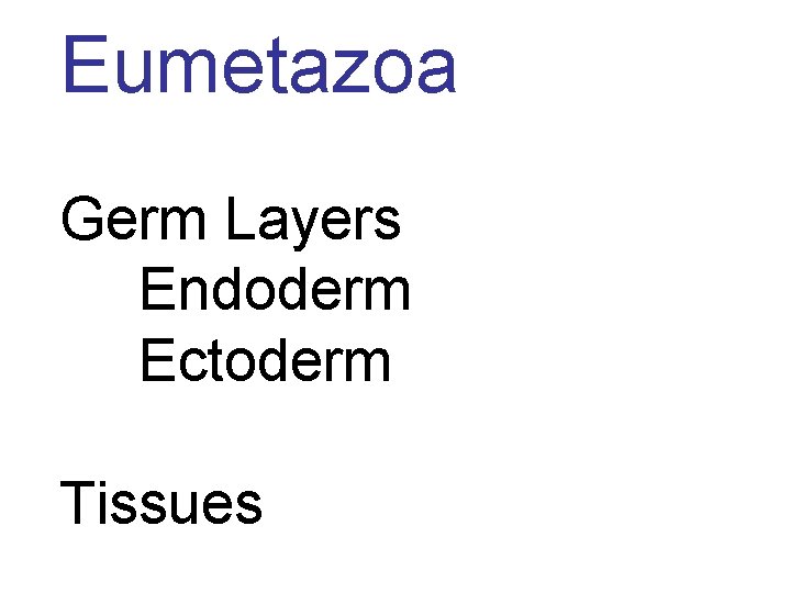 Eumetazoa Germ Layers Endoderm Ectoderm Tissues 