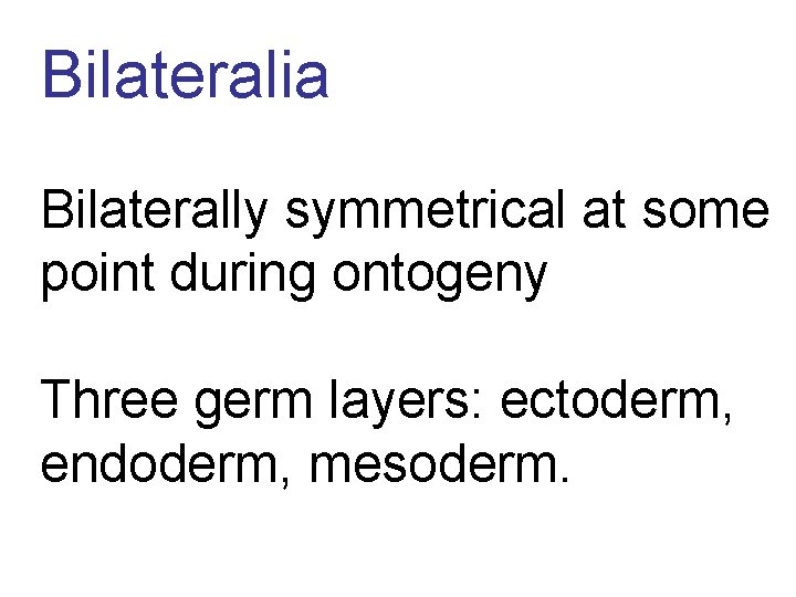 Bilateralia Bilaterally symmetrical at some point during ontogeny Three germ layers: ectoderm, endoderm, mesoderm.