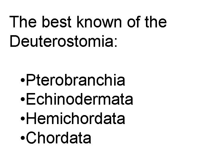 The best known of the Deuterostomia: • Pterobranchia • Echinodermata • Hemichordata • Chordata