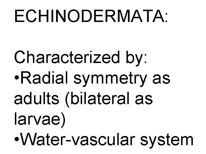 ECHINODERMATA: Characterized by: • Radial symmetry as adults (bilateral as larvae) • Water-vascular system