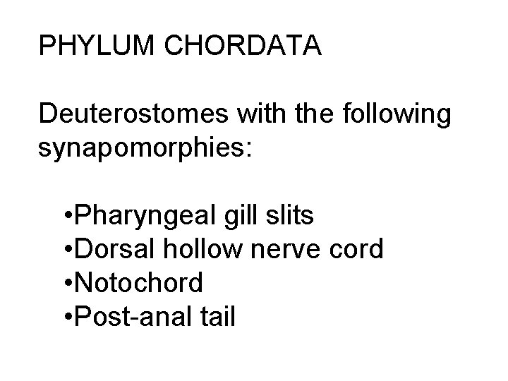 PHYLUM CHORDATA Deuterostomes with the following synapomorphies: • Pharyngeal gill slits • Dorsal hollow