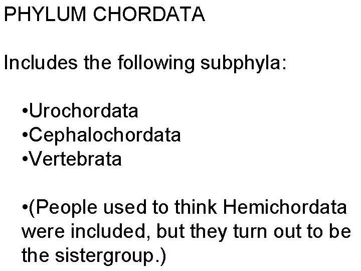 PHYLUM CHORDATA Includes the following subphyla: • Urochordata • Cephalochordata • Vertebrata • (People