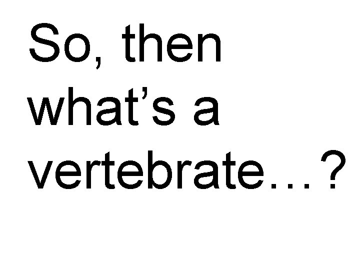 So, then what’s a vertebrate…? 